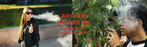 шишки Заводоуковск