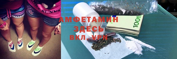 шишки Заводоуковск