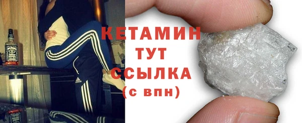 шишки Заводоуковск
