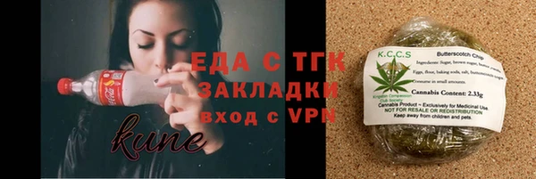 шишки Заводоуковск