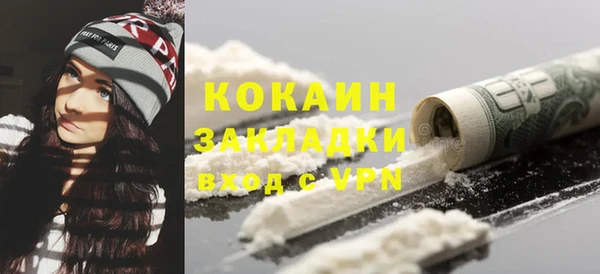 шишки Заводоуковск