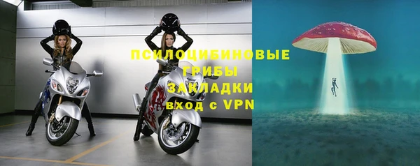 МДПВ Заволжск