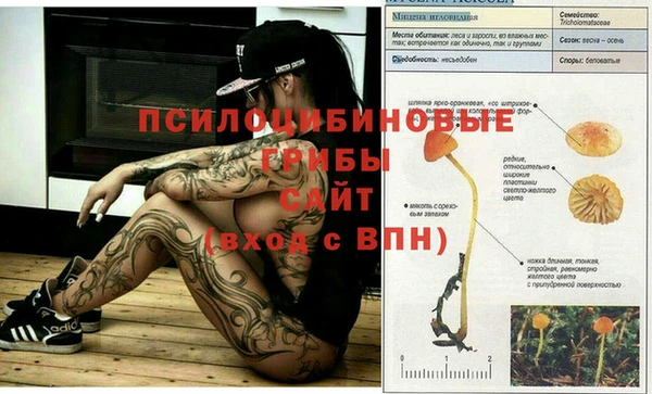 МДПВ Заволжск