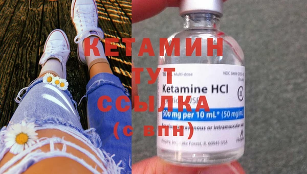 шишки Заводоуковск