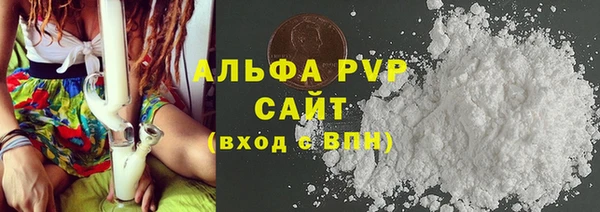 шишки Заводоуковск