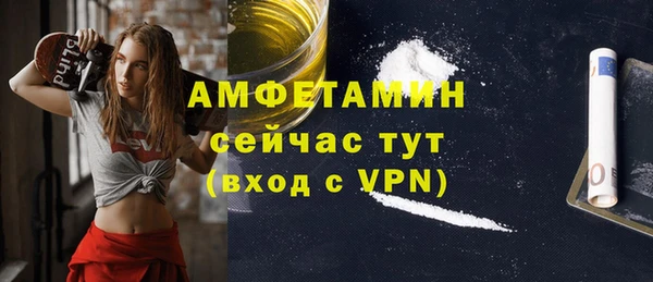 шишки Заводоуковск