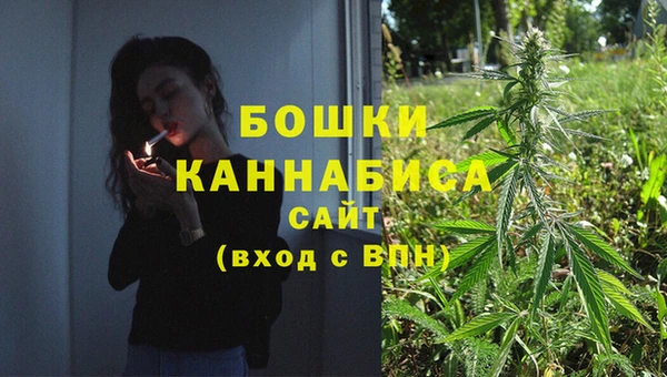 шишки Заводоуковск