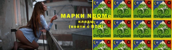 шишки Заводоуковск